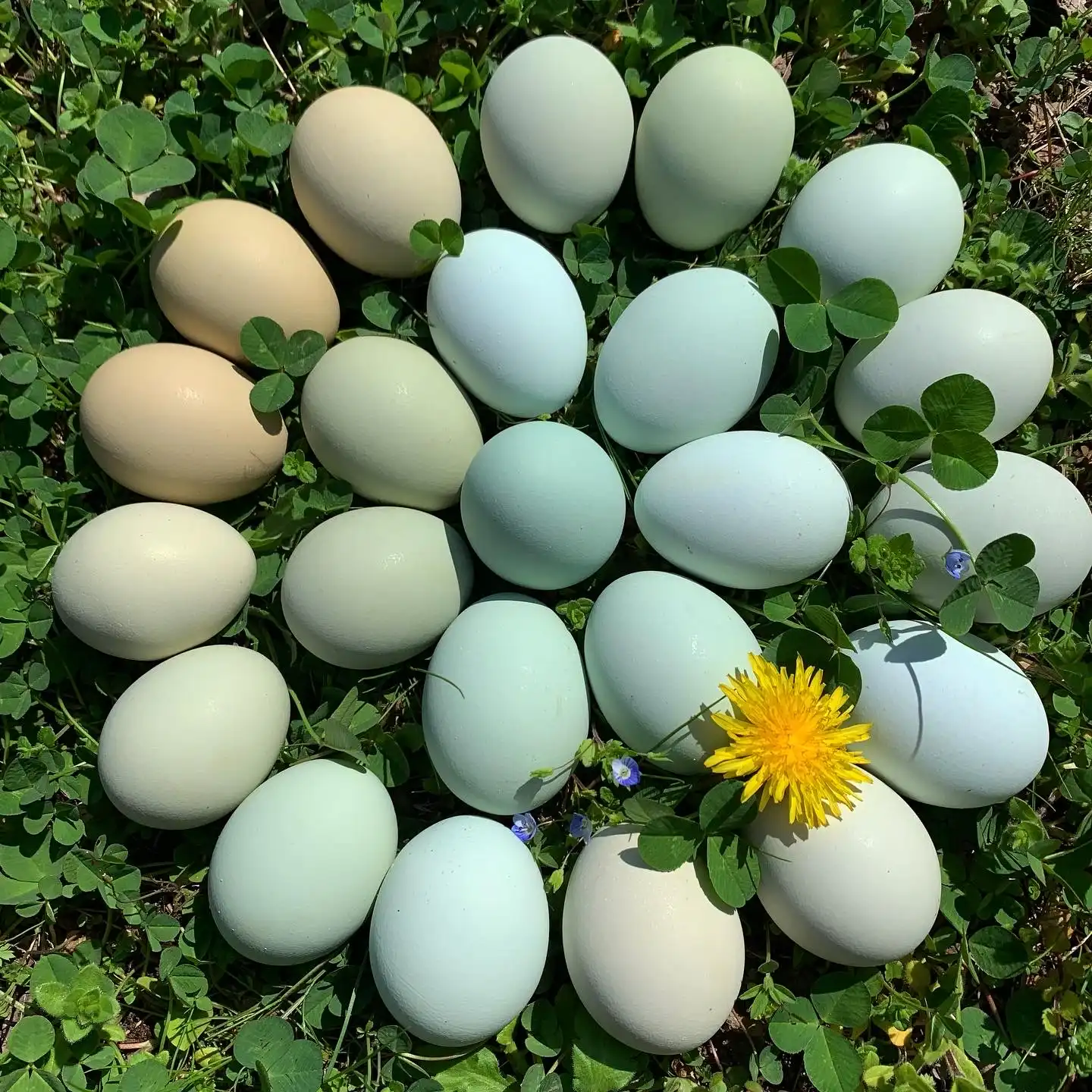 Christmas market photo