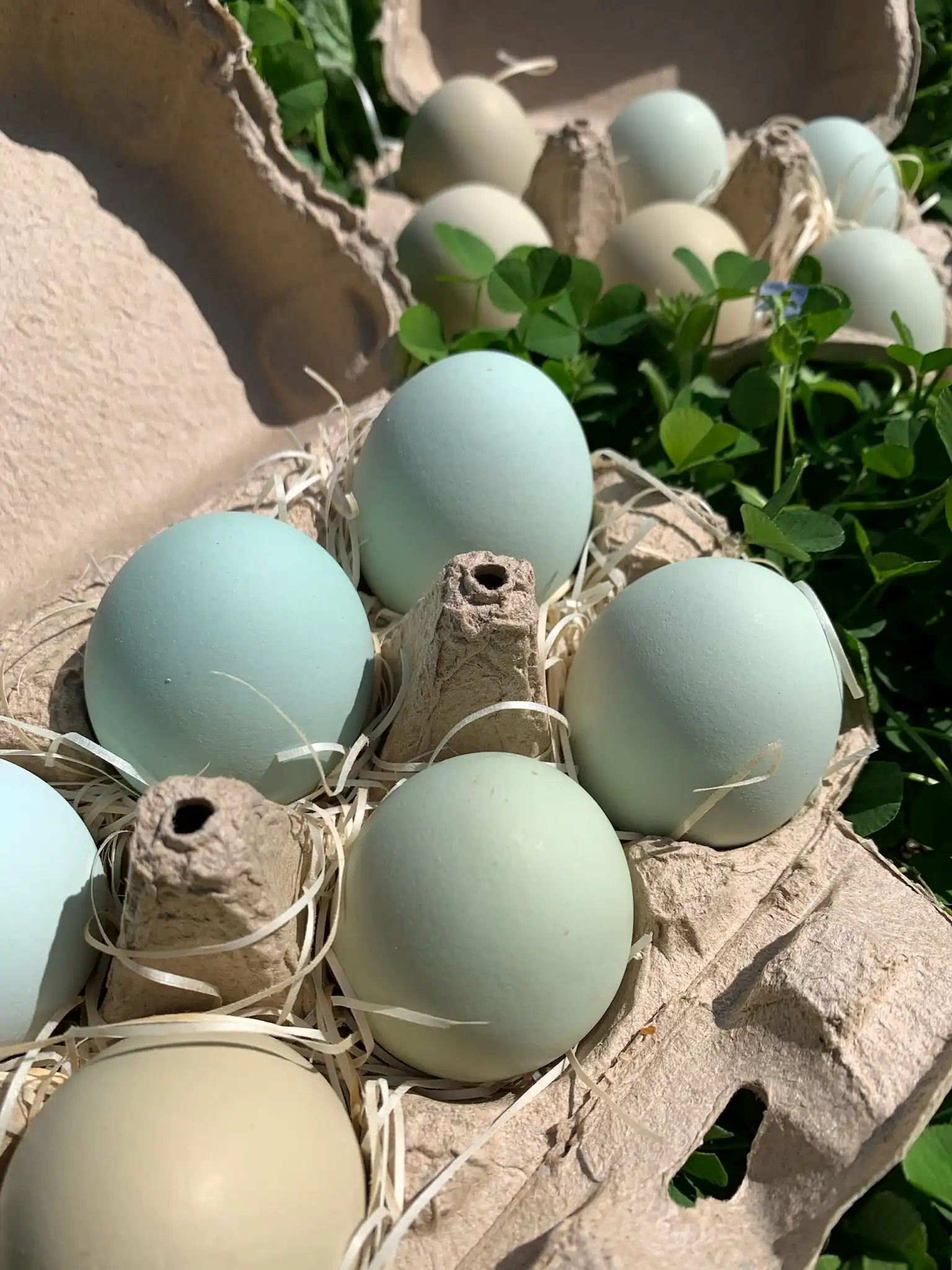 Christmas market photo