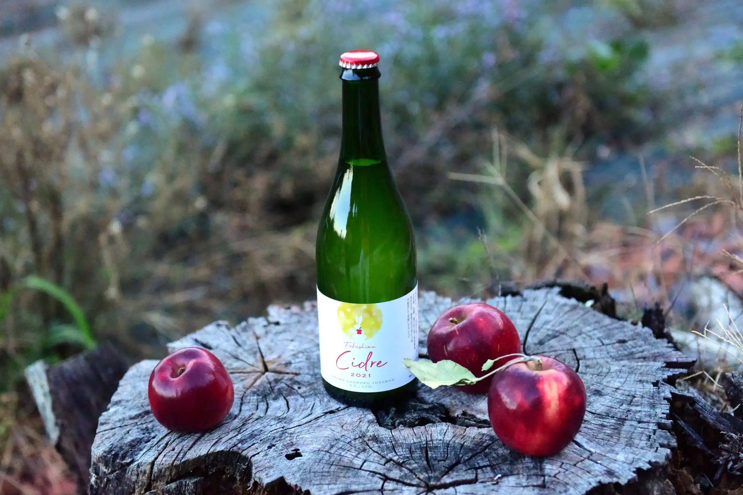 Christmas market photo